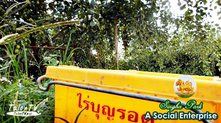 Social Enterprise ในประเทศไทย